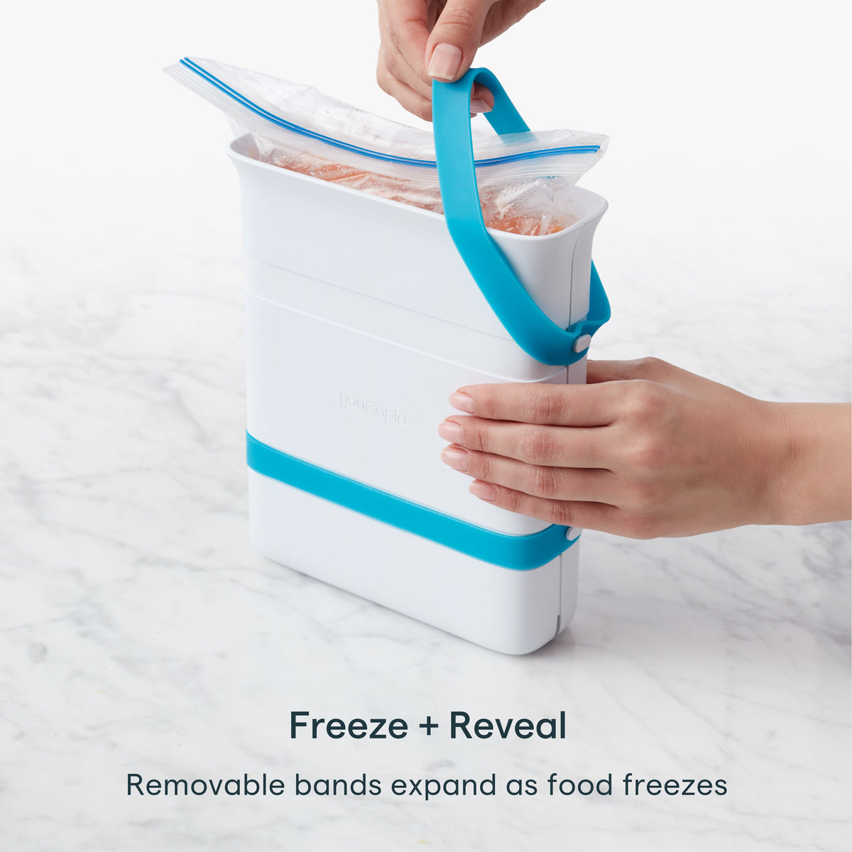 FreezeUp® Food Block Maker, 6 Cup